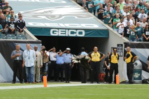 Professional Football Tunnel Covers