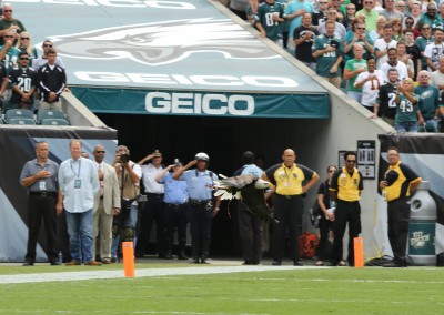 Professional Football Tunnel Covers