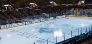 Regional Sports Network Advertising